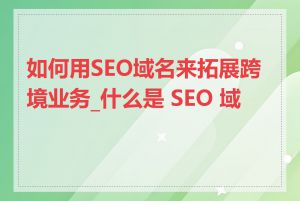 如何用SEO域名来拓展跨境业务_什么是 SEO 域名