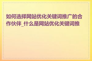 如何选择网站优化关键词推广的合作伙伴_什么是网站优化关键词推广