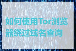 如何使用Tor浏览器绕过域名查询墙