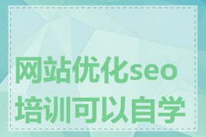 网站优化seo培训可以自学吗