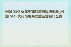 网站 SEO 优化中如何应对算法更新_网站 SEO 优化与电商网站运营有什么关系