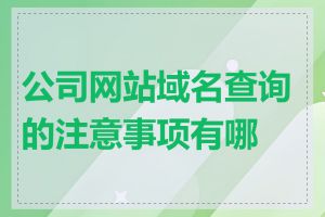 公司网站域名查询的注意事项有哪些