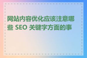 网站内容优化应该注意哪些 SEO 关键字方面的事项