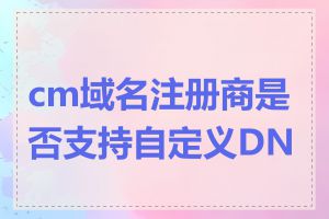 cm域名注册商是否支持自定义DNS