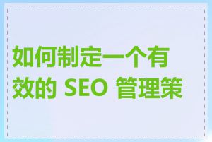 如何制定一个有效的 SEO 管理策略