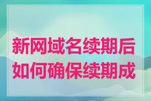 新网域名续期后如何确保续期成功