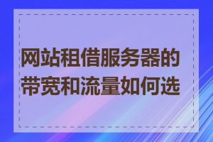 网站租借服务器的带宽和流量如何选择