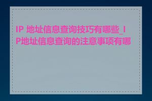 IP 地址信息查询技巧有哪些_IP地址信息查询的注意事项有哪些