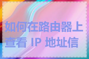 如何在路由器上查看 IP 地址信息