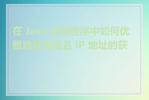 在 Java 应用程序中如何优雅地处理域名 IP 地址的获取