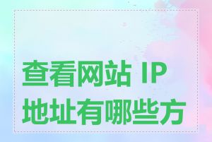 查看网站 IP 地址有哪些方法