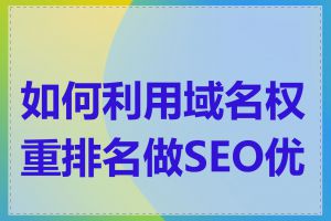 如何利用域名权重排名做SEO优化