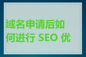 域名申请后如何进行 SEO 优化