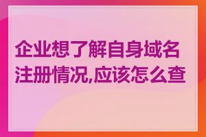 企业想了解自身域名注册情况,应该怎么查询