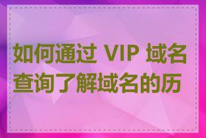 如何通过 VIP 域名查询了解域名的历史