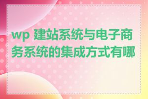 wp 建站系统与电子商务系统的集成方式有哪些