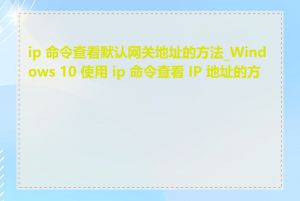 ip 命令查看默认网关地址的方法_Windows 10 使用 ip 命令查看 IP 地址的方法