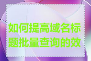 如何提高域名标题批量查询的效率