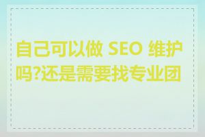 自己可以做 SEO 维护吗?还是需要找专业团队