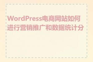 WordPress电商网站如何进行营销推广和数据统计分析