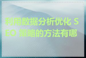 利用数据分析优化 SEO 策略的方法有哪些