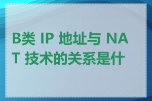 B类 IP 地址与 NAT 技术的关系是什么