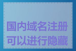 国内域名注册可以进行隐藏吗