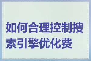 如何合理控制搜索引擎优化费用