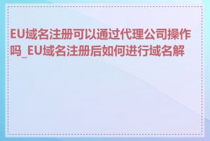 EU域名注册可以通过代理公司操作吗_EU域名注册后如何进行域名解析