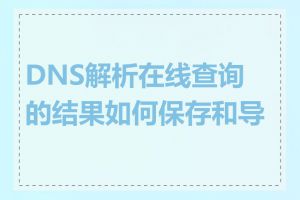 DNS解析在线查询的结果如何保存和导出