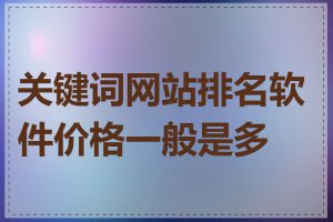 关键词网站排名软件价格一般是多少