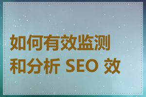 如何有效监测和分析 SEO 效果