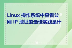 Linux 操作系统中查看公网 IP 地址的最佳实践是什么