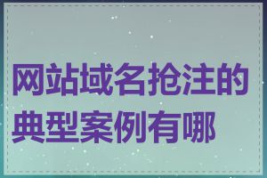 网站域名抢注的典型案例有哪些