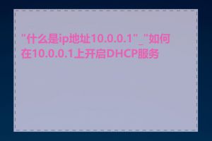 "什么是ip地址10.0.0.1"_"如何在10.0.0.1上开启DHCP服务"