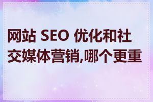 网站 SEO 优化和社交媒体营销,哪个更重要