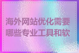 海外网站优化需要哪些专业工具和软件