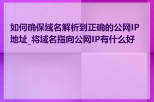 如何确保域名解析到正确的公网IP地址_将域名指向公网IP有什么好处