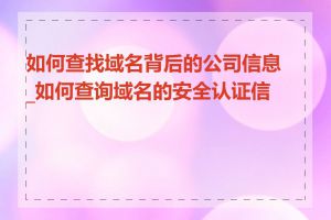 如何查找域名背后的公司信息_如何查询域名的安全认证信息