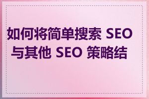 如何将简单搜索 SEO 与其他 SEO 策略结合