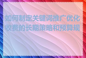 如何制定关键词推广优化收费的长期策略和预算规划