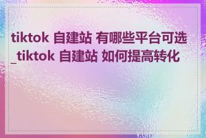 tiktok 自建站 有哪些平台可选_tiktok 自建站 如何提高转化率