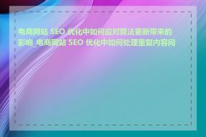 电商网站 SEO 优化中如何应对算法更新带来的影响_电商网站 SEO 优化中如何处理重复内容问题