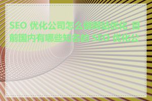 SEO 优化公司怎么做网站优化_目前国内有哪些知名的 SEO 优化公司