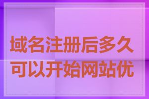 域名注册后多久可以开始网站优化