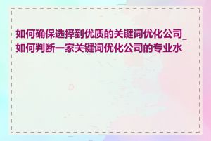 如何确保选择到优质的关键词优化公司_如何判断一家关键词优化公司的专业水平