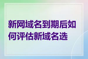 新网域名到期后如何评估新域名选择