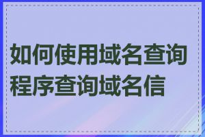 如何使用域名查询程序查询域名信息