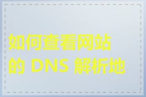 如何查看网站的 DNS 解析地址