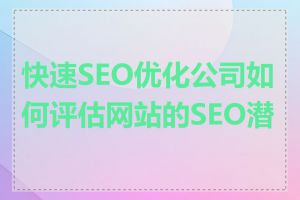 快速SEO优化公司如何评估网站的SEO潜力